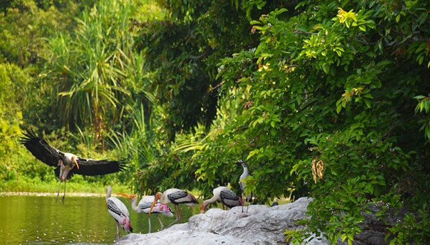 Salim Ali Bird Sanctuary