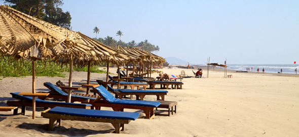 tour travel agency in goa