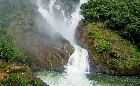 Top Dudhsagar Trip in Goa