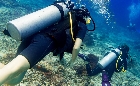 Fun Scuba Diving in Goa