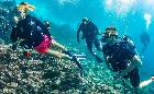 Scuba Diving Fun in Goa