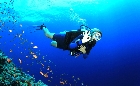 Scuba Diving Best in Goa