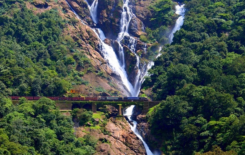 Dudhsagar Trip in Goa