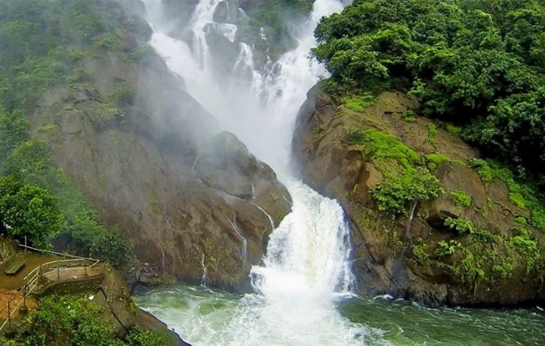 Top Dudhsagar Trip in Goa