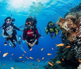 Scuba Diving in Goa